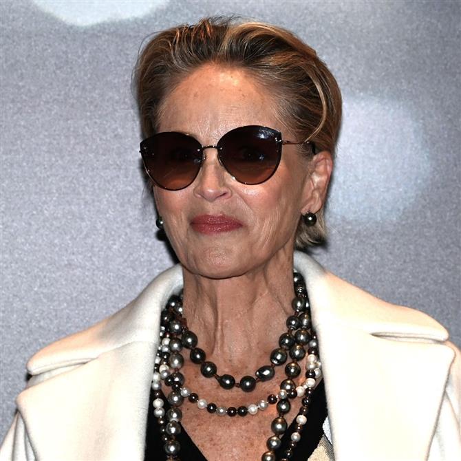 Σάρον Στόουν: Ξέσπασε σε κλάματα μετά από ερώτηση δημοσιογράφου - Η σπάνια εξομολόγησή της (Photos)