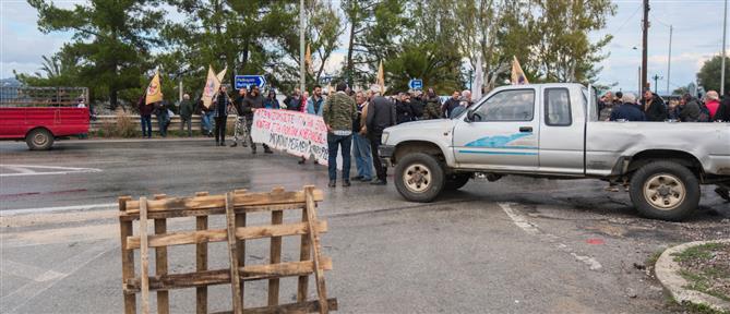 Παγκρήτιο συλλαλητήριο αγροτοκτηνοτρόφων τη Δευτέρα - Στο επίκεντρο λιμάνια και αεροδρόμια