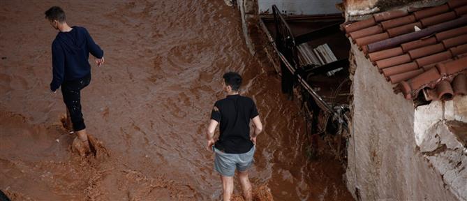 Σύλλογοι Συγγενών Θανόντων και Πληγέντων Μάνδρας: Το "ευχαριστούμε" δεν σβήνει την πικρή αλήθεια