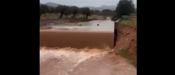 Μάνδρα Αττικής: Κλειστή η οδός Αγίας Αικατερίνης λόγω υπερχείλισης ρέματος (βίντεο)
