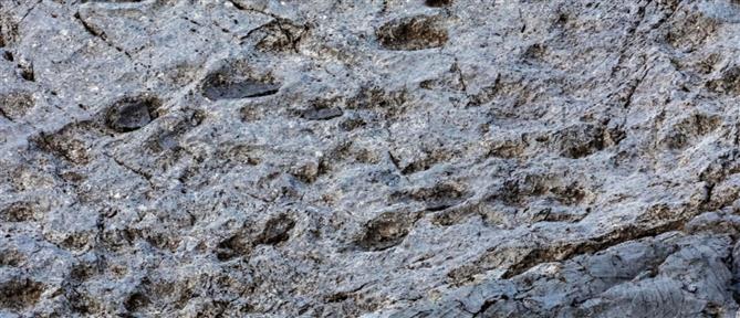 Ιταλικές Άλπεις: Εντοπίστηκαν χιλιάδες αποτυπώματα δεινοσαύρων σε βράχο (εικόνες)