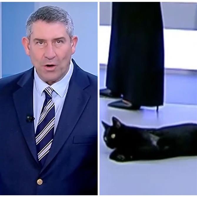 Άκης Παυλόπουλος: Η αντίδρασή του όταν μια μαύρη γάτα εισέβαλε στο πλατό