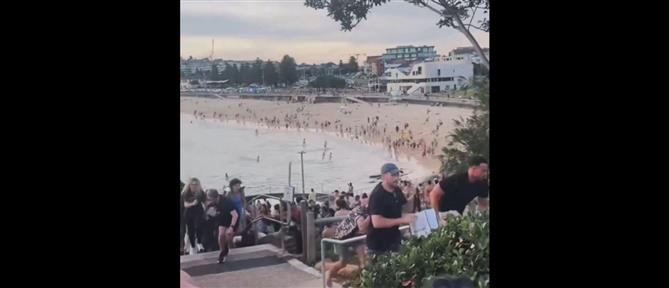 Μακελειό στο Σίδνεϊ: Τουλάχιστον 12 νεκροί έπειτα από πυροβολισμούς στην παραλία Μπόνταϊ (βίντεο)