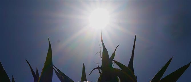 Τι καιρό θα κάνει σήμερα Σάββατο